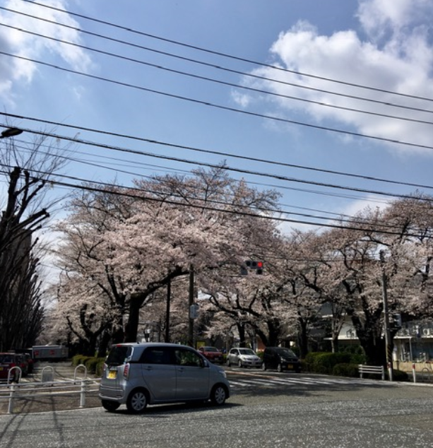f:id:chuokurashinet:20210326154846p:plain