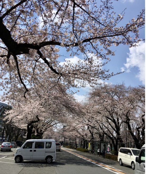 f:id:chuokurashinet:20210326155602p:plain