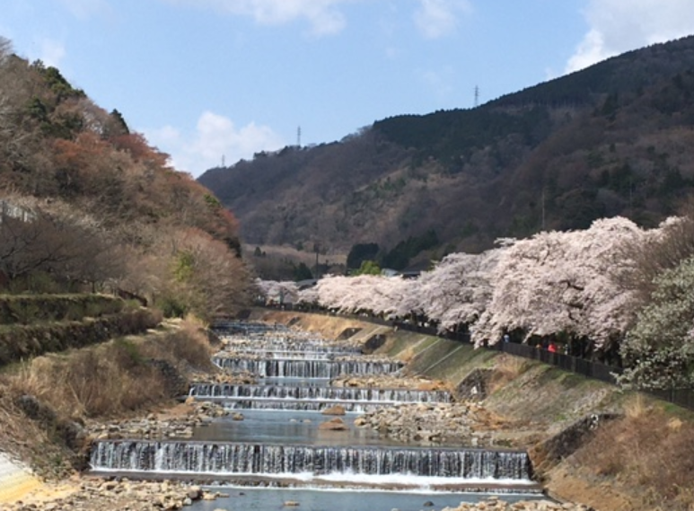 f:id:chuokurashinet:20210326171526p:plain