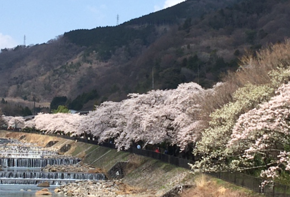 f:id:chuokurashinet:20210326172617p:plain
