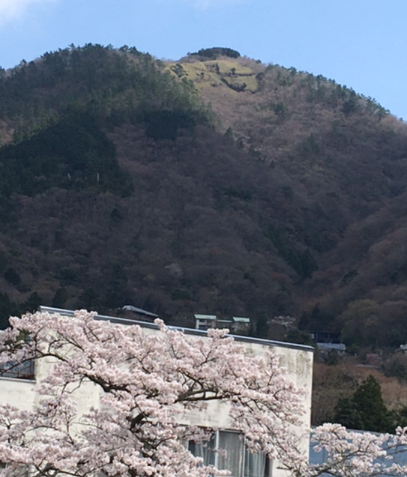 f:id:chuokurashinet:20210326172703p:plain