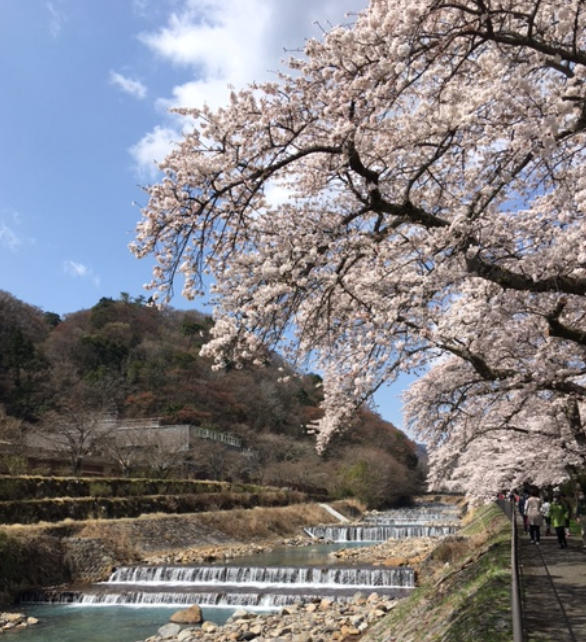 f:id:chuokurashinet:20210326172836p:plain