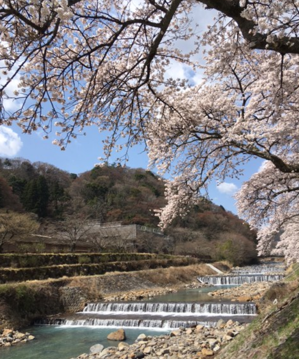 f:id:chuokurashinet:20210326172957p:plain