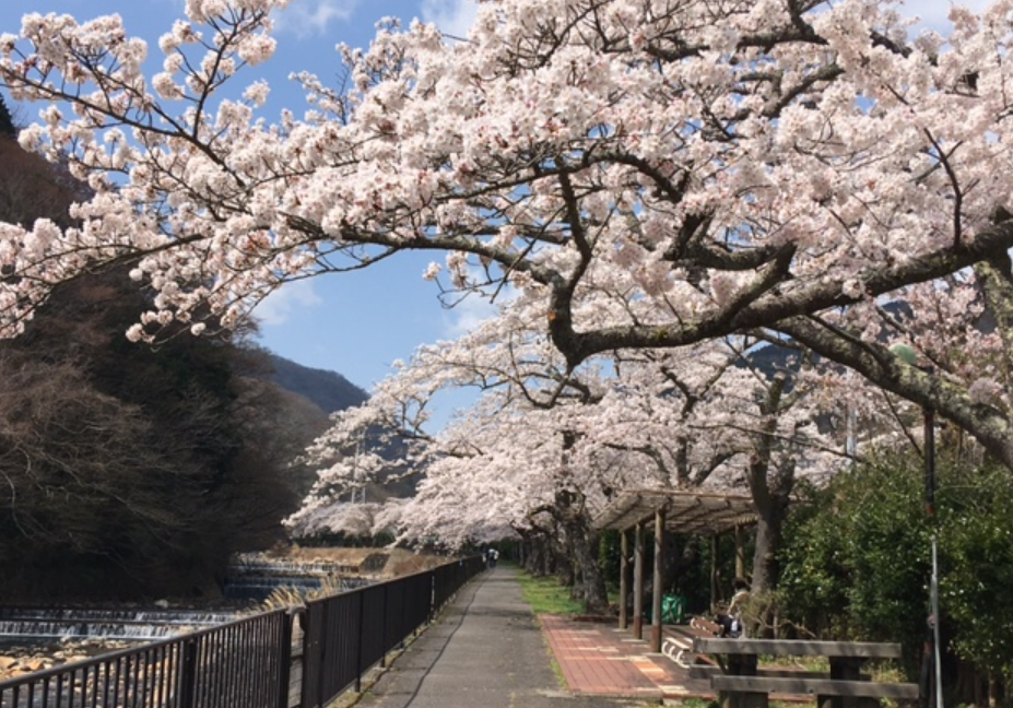 f:id:chuokurashinet:20210326173043p:plain