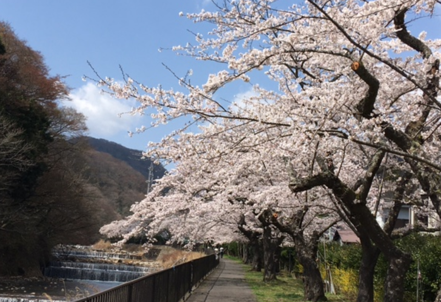 f:id:chuokurashinet:20210326173127p:plain