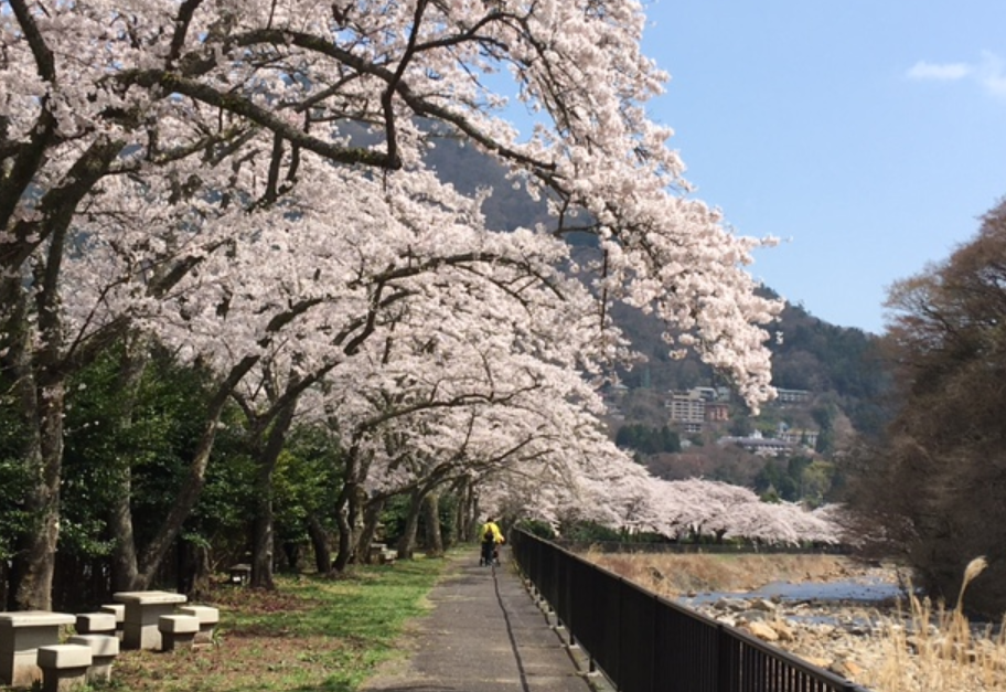 f:id:chuokurashinet:20210326173244p:plain