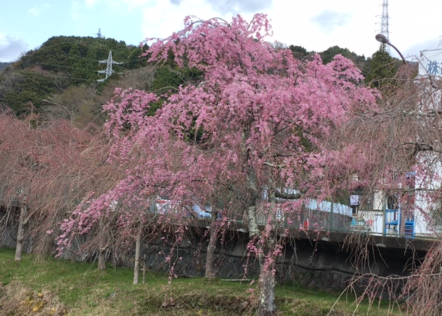 f:id:chuokurashinet:20210326173316p:plain