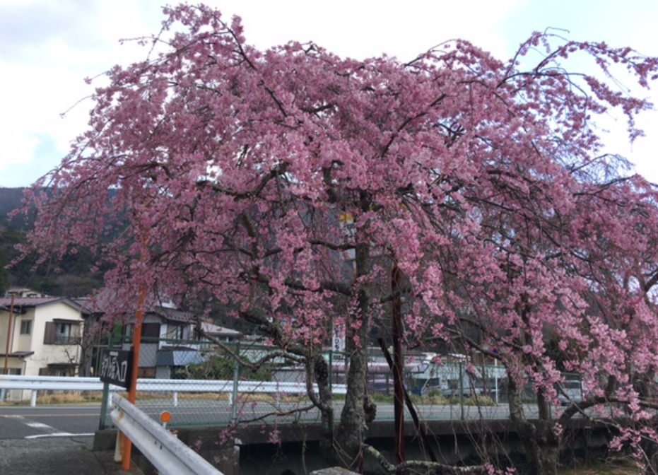 f:id:chuokurashinet:20210326173352p:plain