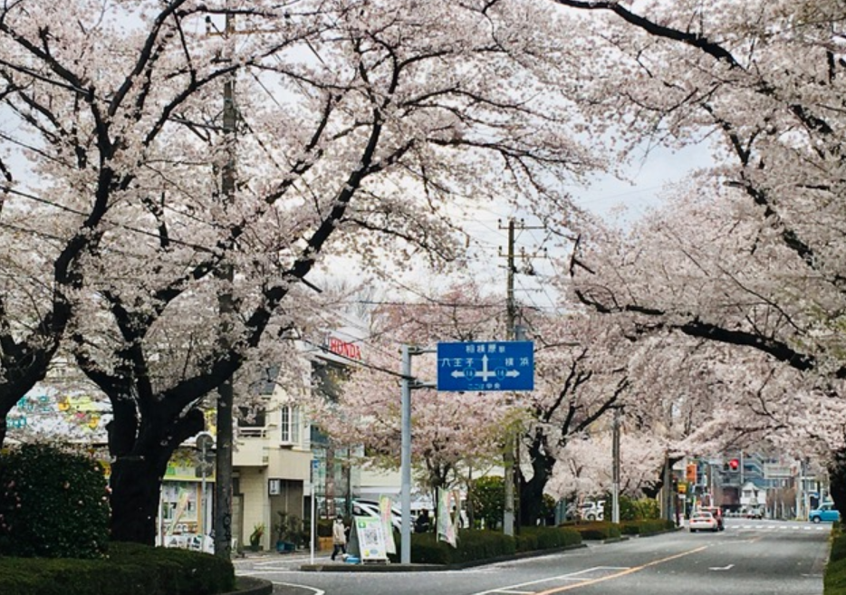 f:id:chuokurashinet:20210328121840p:plain