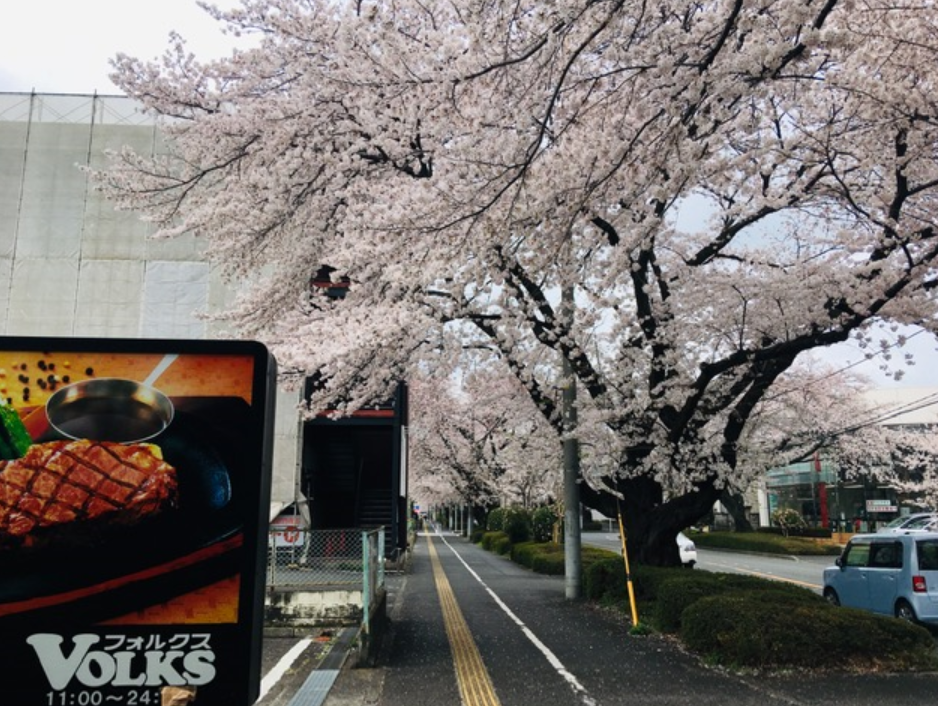 f:id:chuokurashinet:20210328121916p:plain