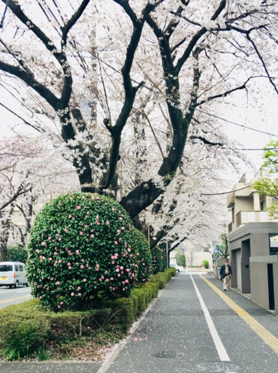 f:id:chuokurashinet:20210328122142p:plain