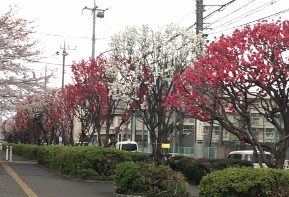 f:id:chuokurashinet:20210328123344p:plain