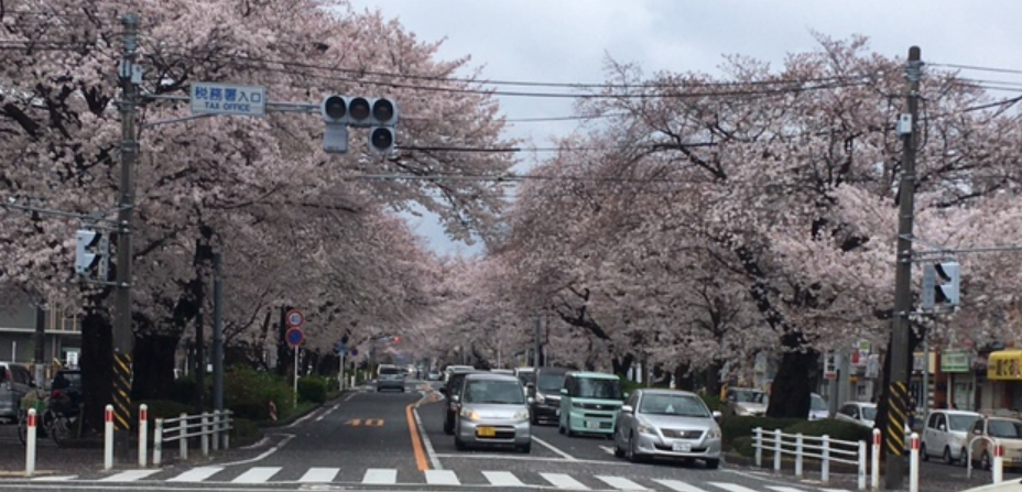 f:id:chuokurashinet:20210328153630p:plain