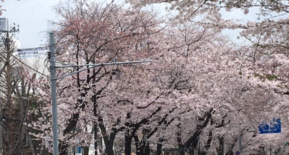 f:id:chuokurashinet:20210328153807p:plain