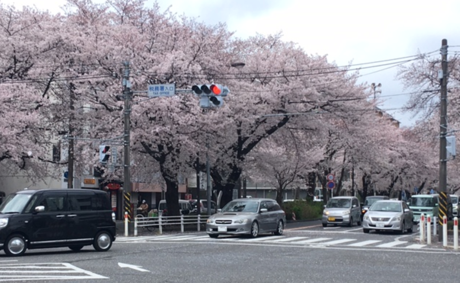 f:id:chuokurashinet:20210328154027p:plain