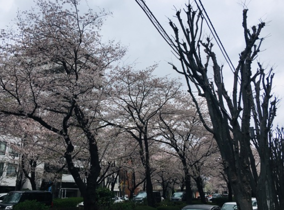 f:id:chuokurashinet:20210328154143p:plain