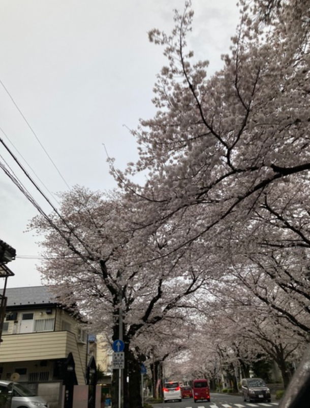 f:id:chuokurashinet:20210329081313p:plain