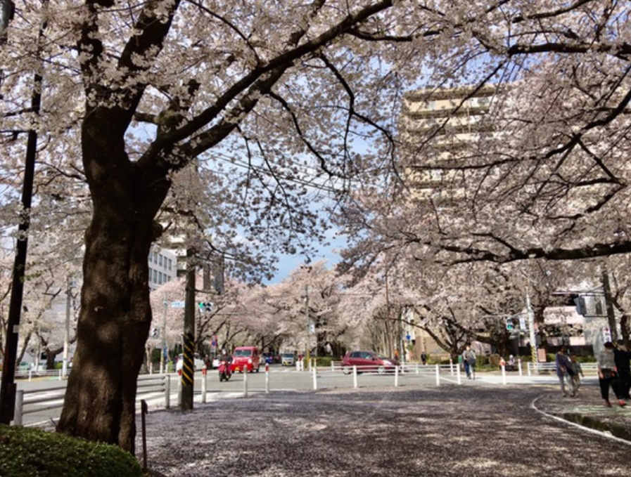 f:id:chuokurashinet:20210329182934p:plain