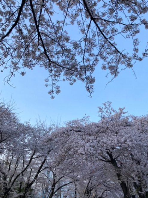 f:id:chuokurashinet:20210329184825p:plain