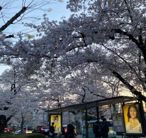 f:id:chuokurashinet:20210329185743p:plain