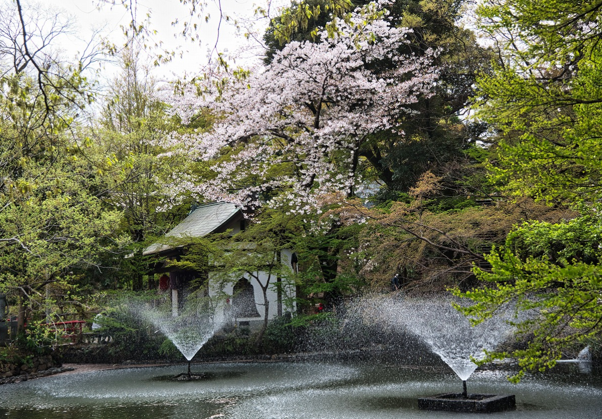 f:id:chuokurashinet:20210330070555p:plain