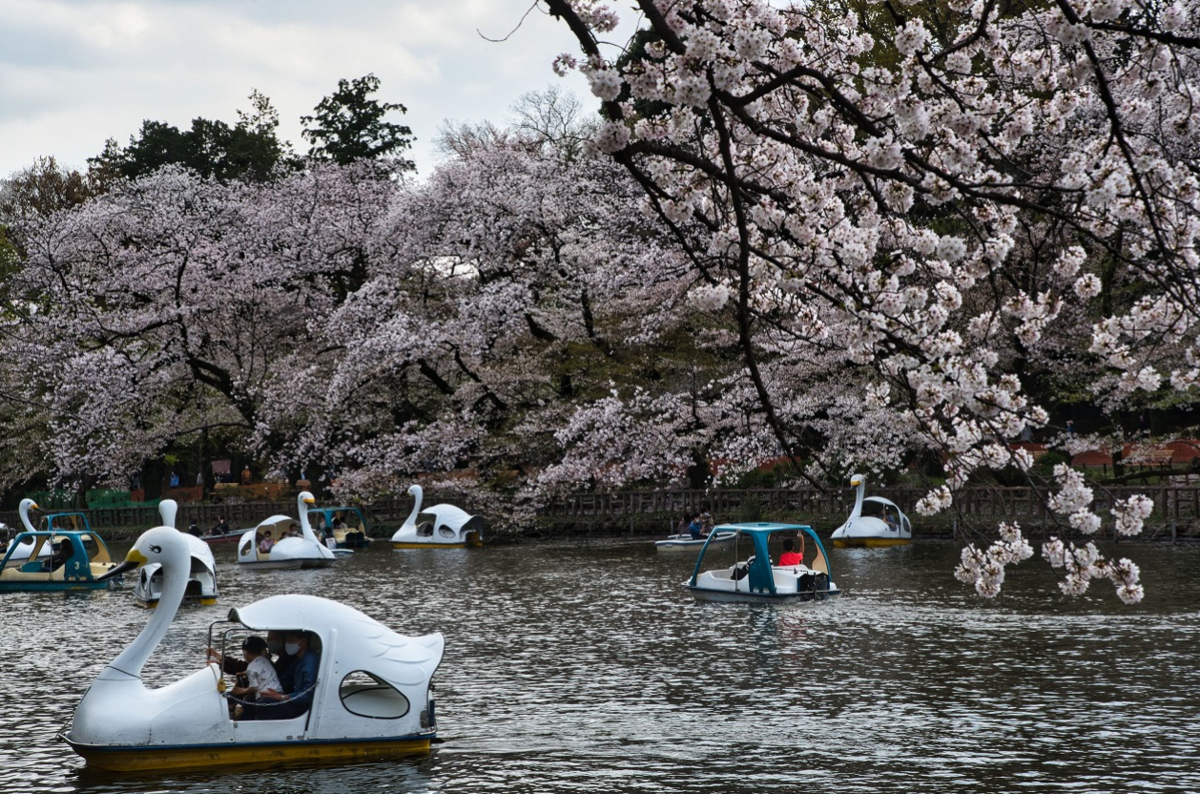 f:id:chuokurashinet:20210330071015p:plain