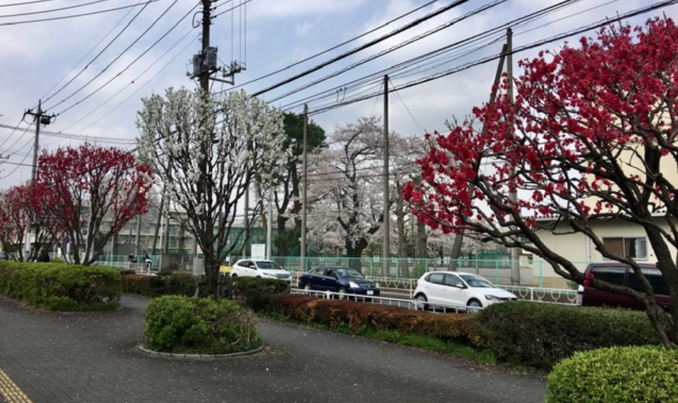 f:id:chuokurashinet:20210331075518p:plain