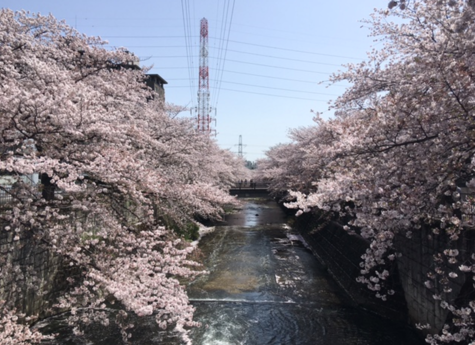 f:id:chuokurashinet:20210401080424p:plain