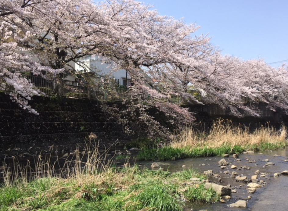 f:id:chuokurashinet:20210401080703p:plain