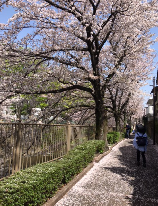 f:id:chuokurashinet:20210401081511p:plain