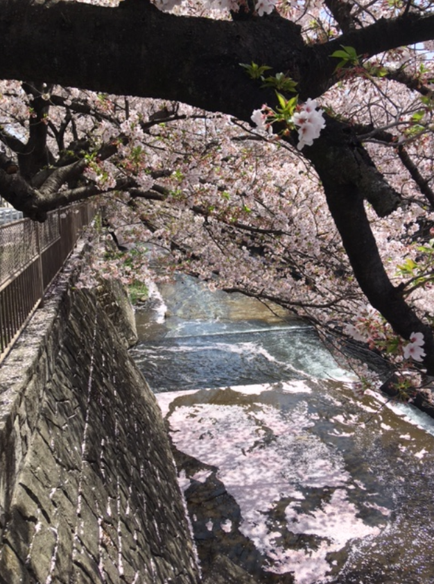 f:id:chuokurashinet:20210401081557p:plain