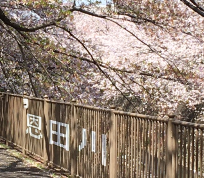 f:id:chuokurashinet:20210401082029p:plain