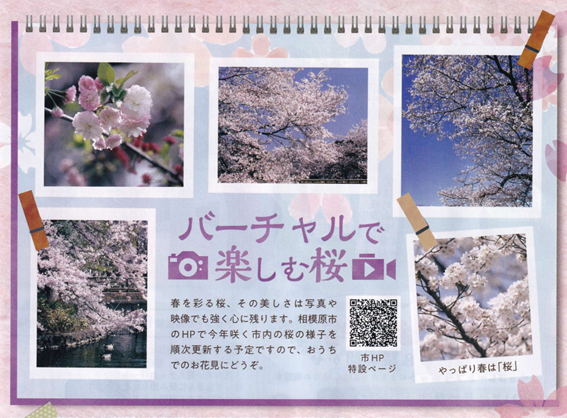 f:id:chuokurashinet:20210402073710p:plain