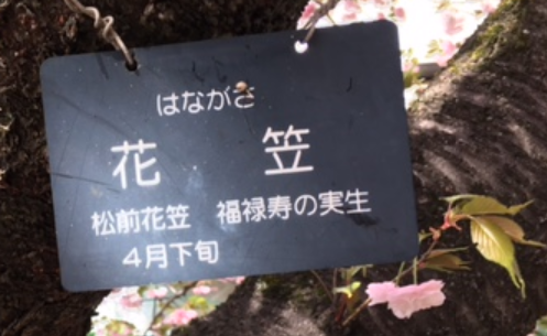 f:id:chuokurashinet:20210403181513p:plain