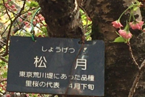 f:id:chuokurashinet:20210403181711p:plain