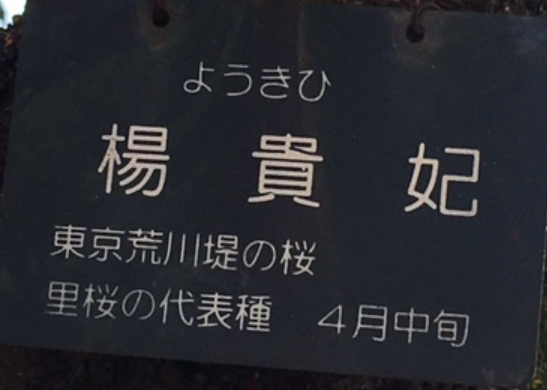 f:id:chuokurashinet:20210403181836p:plain