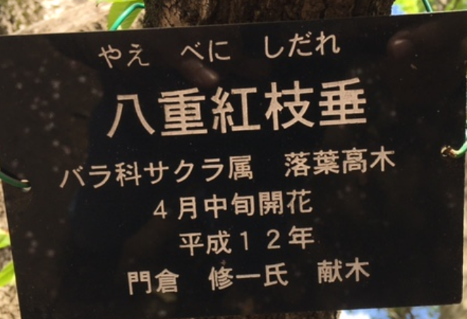 f:id:chuokurashinet:20210403182101p:plain