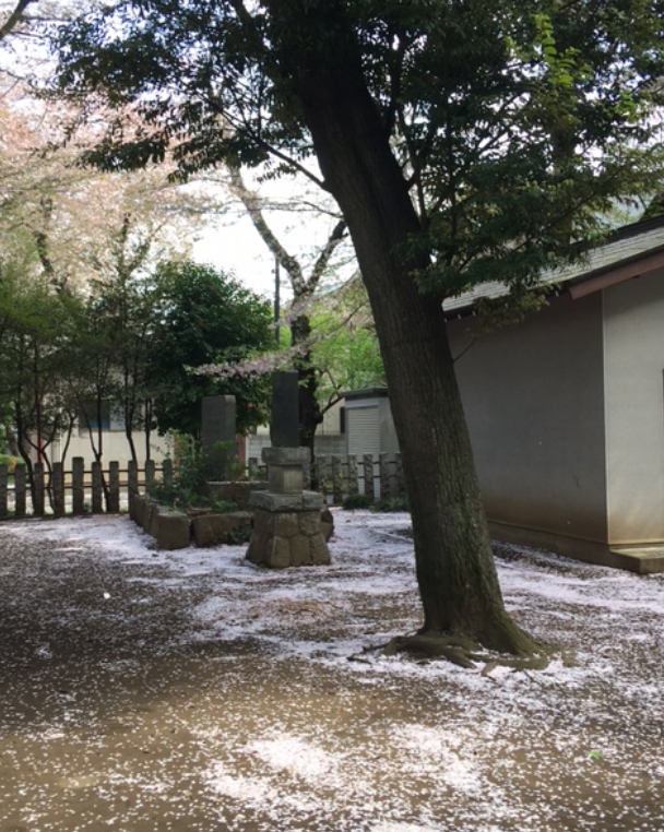 f:id:chuokurashinet:20210403182550p:plain