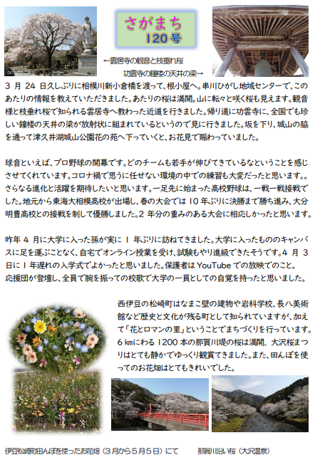 f:id:chuokurashinet:20210404073955p:plain