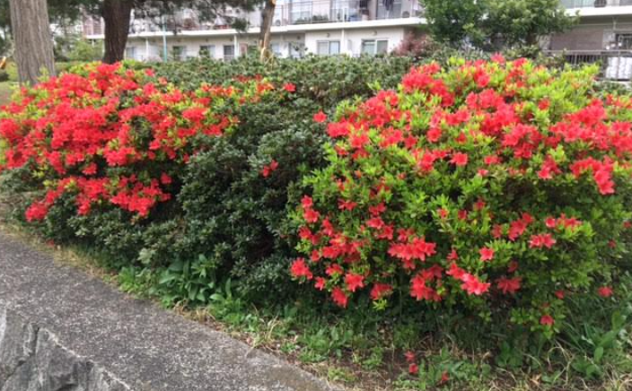 f:id:chuokurashinet:20210405113650p:plain