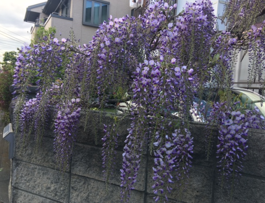 f:id:chuokurashinet:20210407060935p:plain