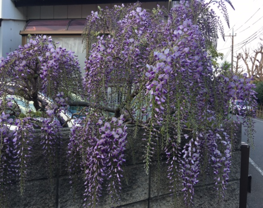 f:id:chuokurashinet:20210407061103p:plain