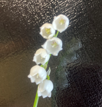 f:id:chuokurashinet:20210412101509p:plain