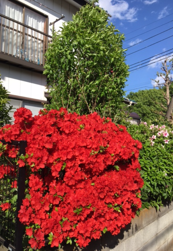 f:id:chuokurashinet:20210419074205p:plain