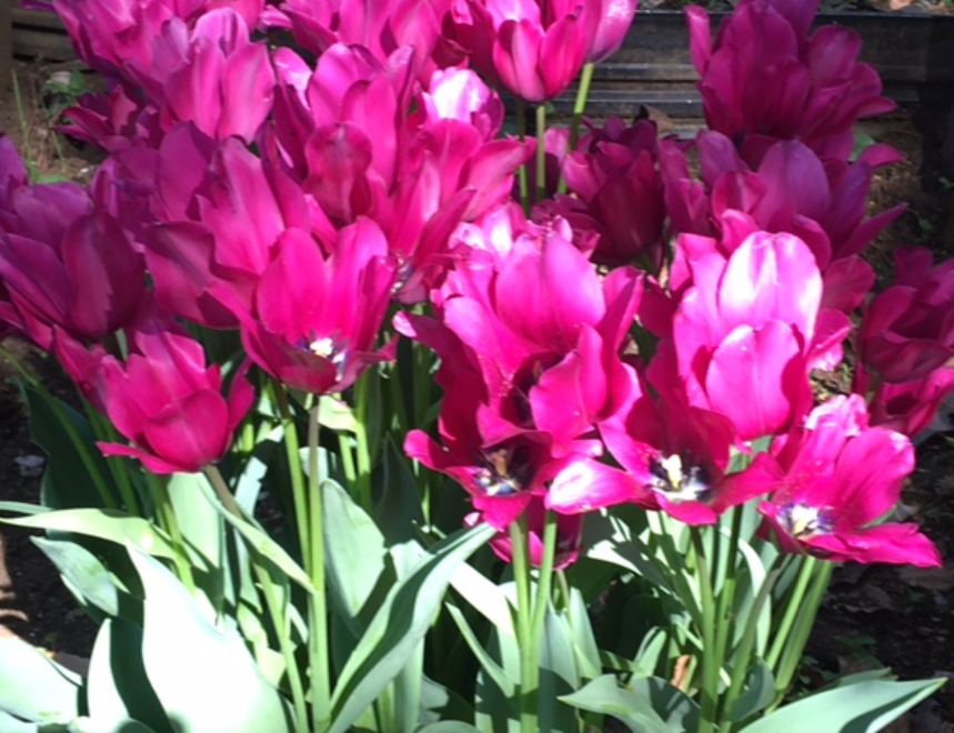 f:id:chuokurashinet:20210423054633p:plain