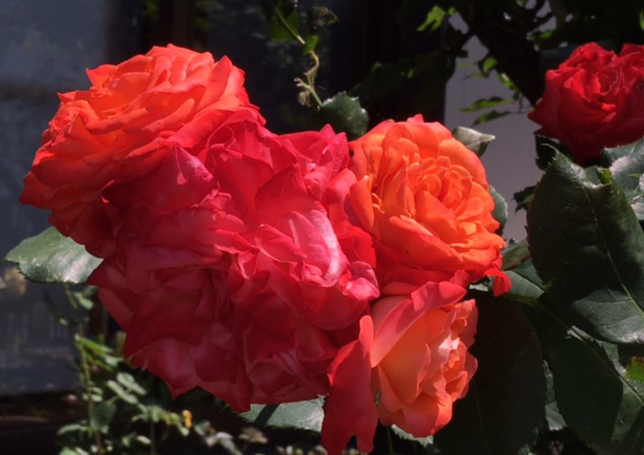 f:id:chuokurashinet:20210507121145p:plain