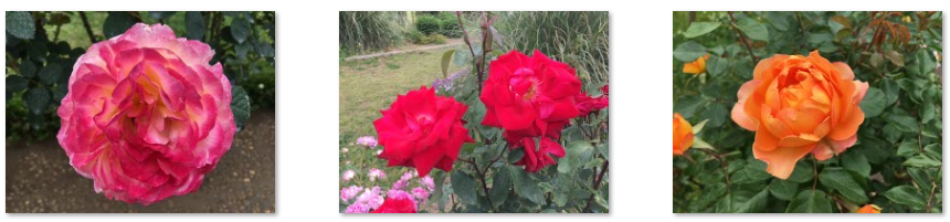 f:id:chuokurashinet:20210515121645p:plain