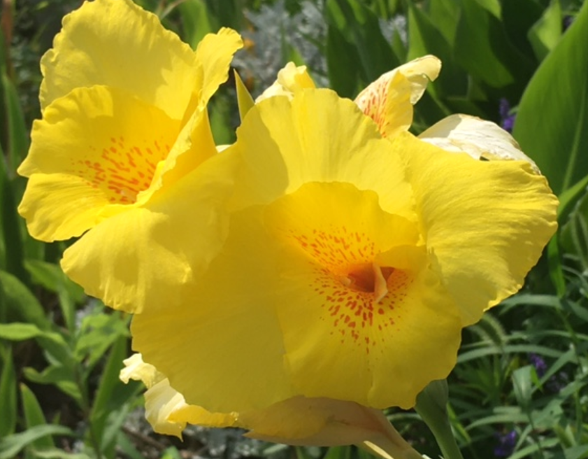 f:id:chuokurashinet:20210711101252p:plain