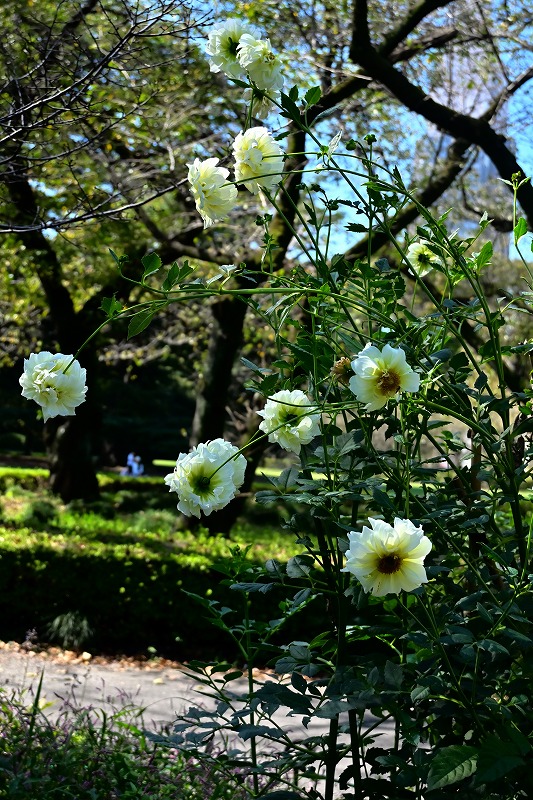 f:id:chuokurashinet:20211001080939j:plain