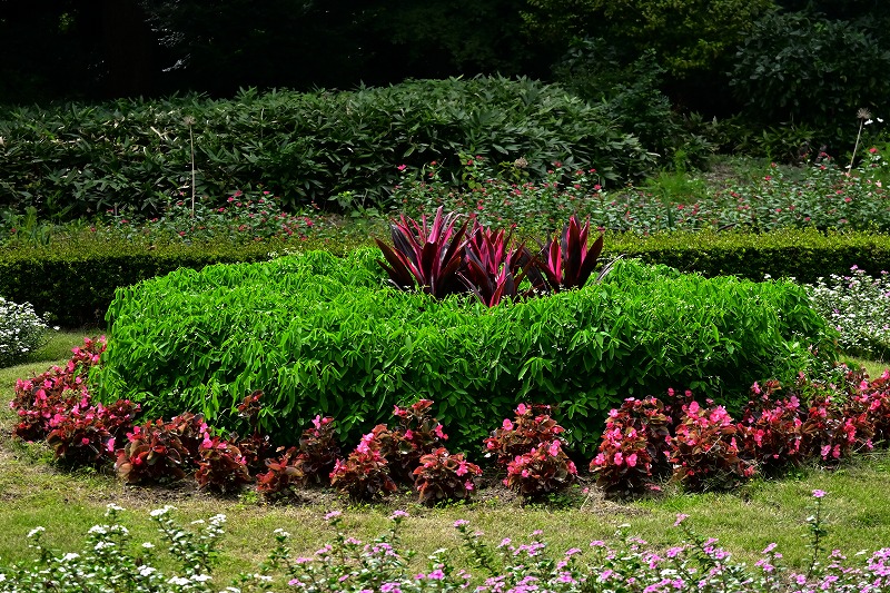 f:id:chuokurashinet:20211001081033j:plain